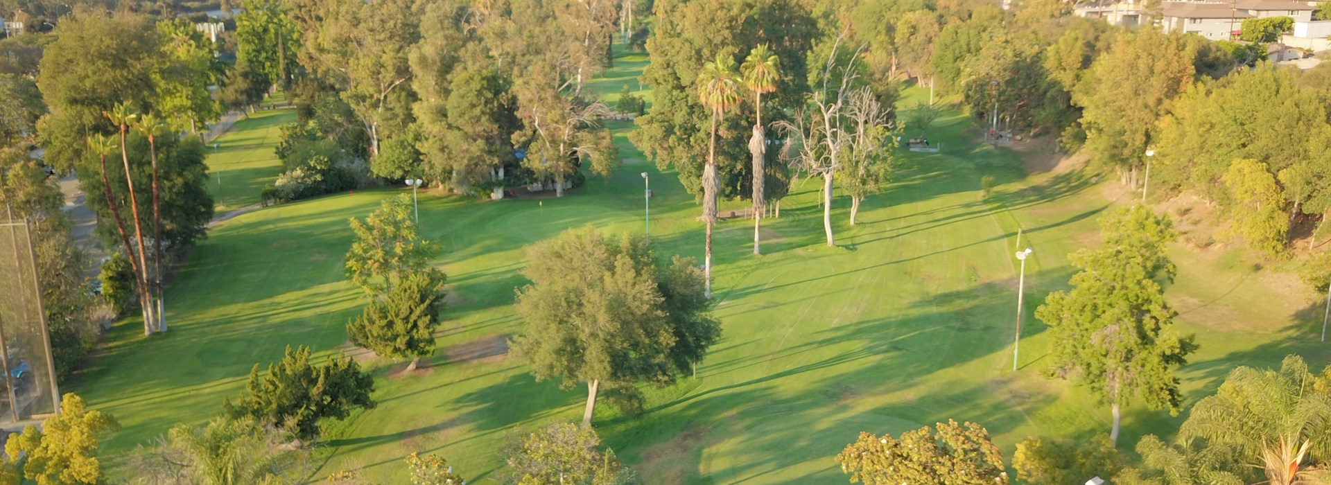 View of golf course green from above with surrounding trees
